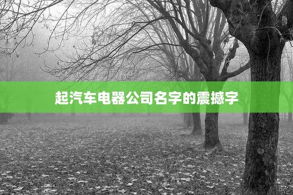 起汽车电器公司名字的震撼字