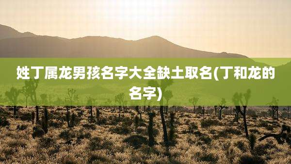 姓丁属龙男孩名字大全缺土取名(丁和龙的名字)