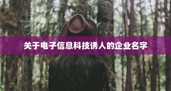 关于电子信息科技诱人的企业名字