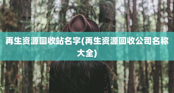 再生资源回收站名字(再生资源回收公司名称大全)