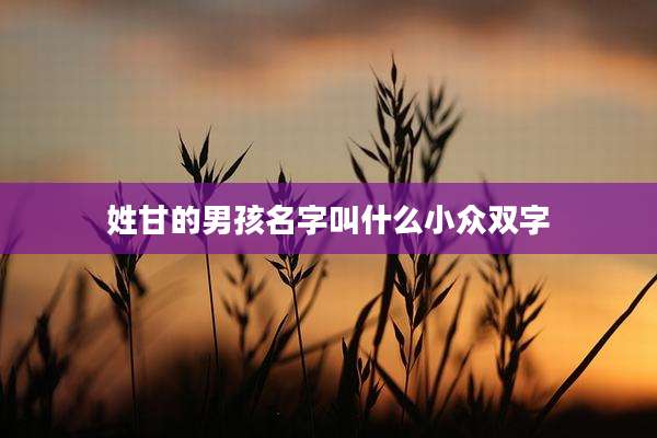 姓甘的男孩名字叫什么小众双字