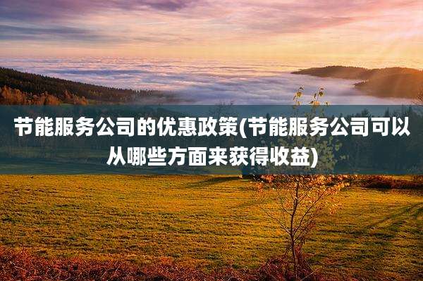 节能服务公司的优惠政策(节能服务公司可以从哪些方面来获得收益)