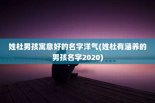 姓杜男孩寓意好的名字洋气(姓杜有涵养的男孩名字2020)