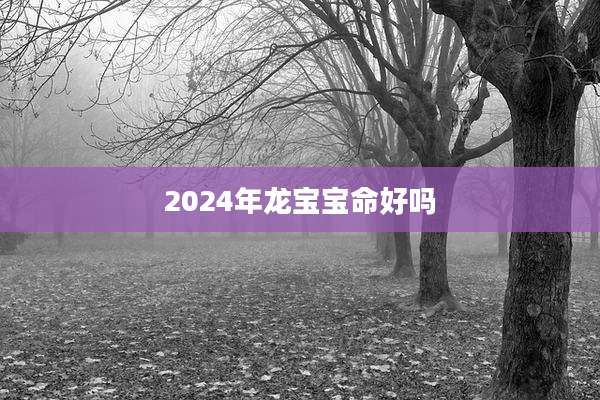 2024年龙宝宝命好吗
