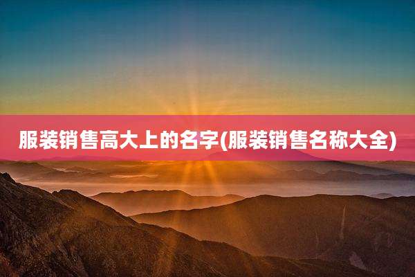 服装销售高大上的名字(服装销售名称大全)