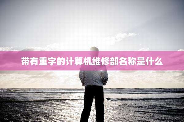 带有重字的计算机维修部名称是什么