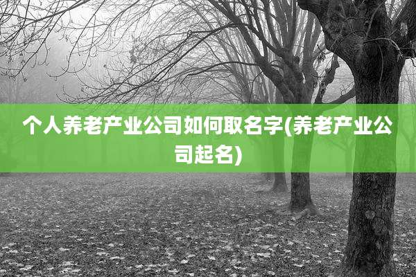 个人养老产业公司如何取名字(养老产业公司起名)
