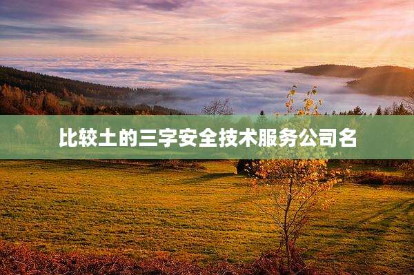 比较土的三字安全技术服务公司名