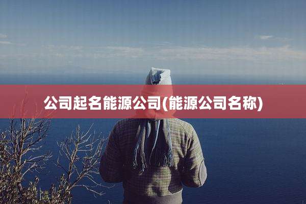 公司起名能源公司(能源公司名称)