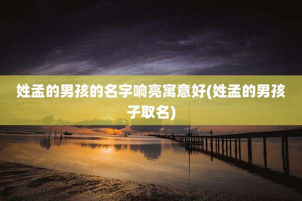 姓孟的男孩的名字响亮寓意好(姓孟的男孩子取名)