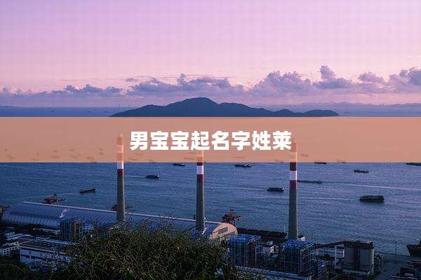 男宝宝起名字姓莱
