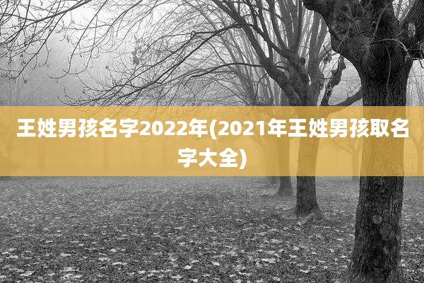 王姓男孩名字2022年(2021年王姓男孩取名字大全)
