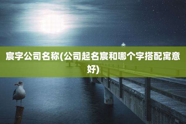 宸字公司名称(公司起名宸和哪个字搭配寓意好)