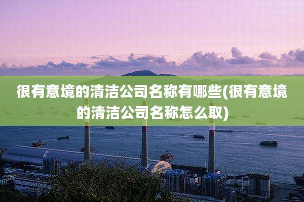 很有意境的清洁公司名称有哪些(很有意境的清洁公司名称怎么取)