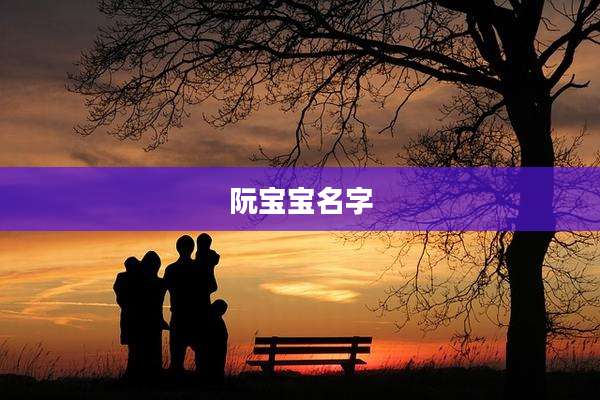 阮宝宝名字
