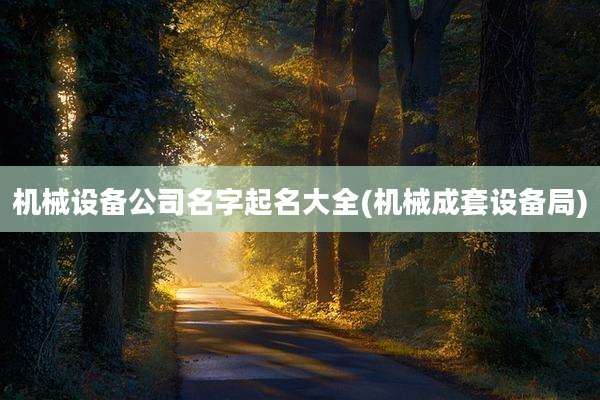 机械设备公司名字起名大全(机械成套设备局)