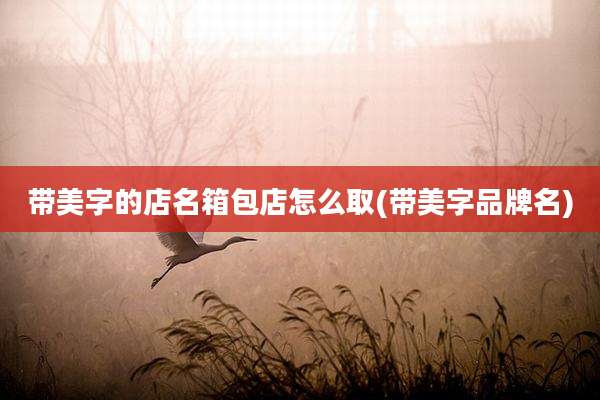 带美字的店名箱包店怎么取(带美字品牌名)