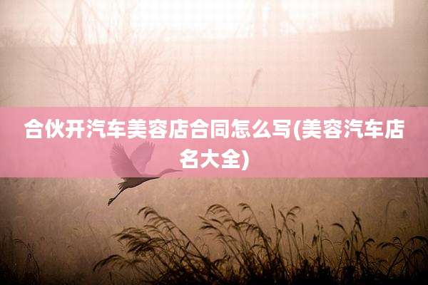 合伙开汽车美容店合同怎么写(美容汽车店名大全)