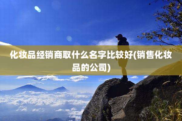 化妆品经销商取什么名字比较好(销售化妆品的公司)