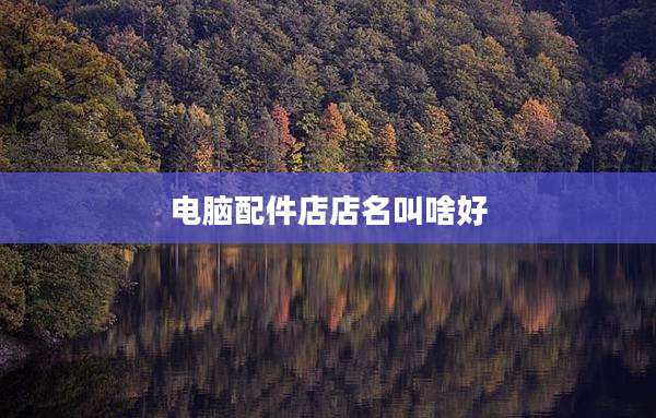 电脑配件店店名叫啥好