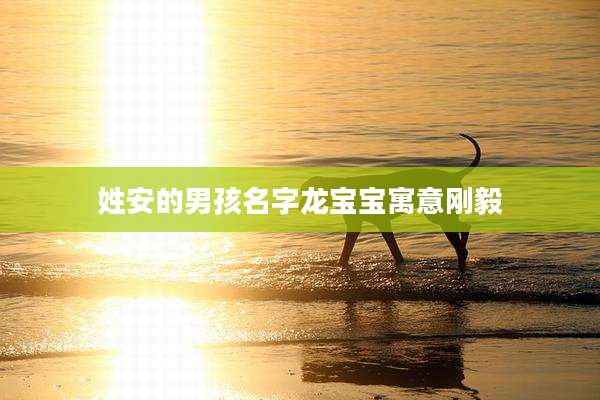 姓安的男孩名字龙宝宝寓意刚毅