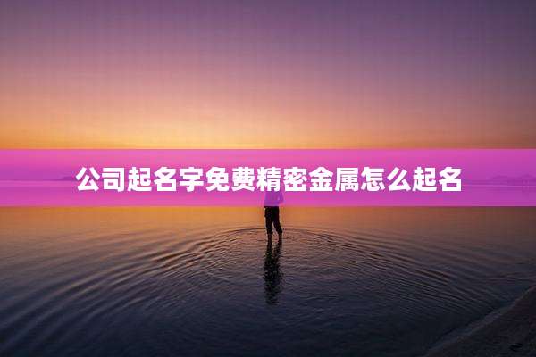 公司起名字免费精密金属怎么起名