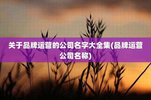 关于品牌运营的公司名字大全集(品牌运营公司名称)