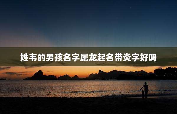 姓韦的男孩名字属龙起名带炎字好吗