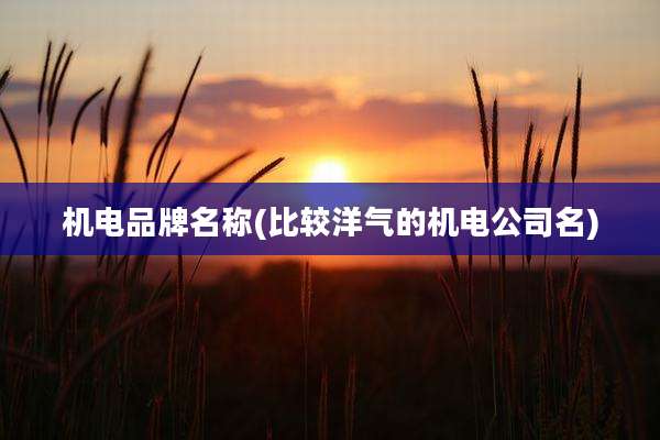 机电品牌名称(比较洋气的机电公司名)