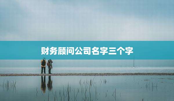 财务顾问公司名字三个字