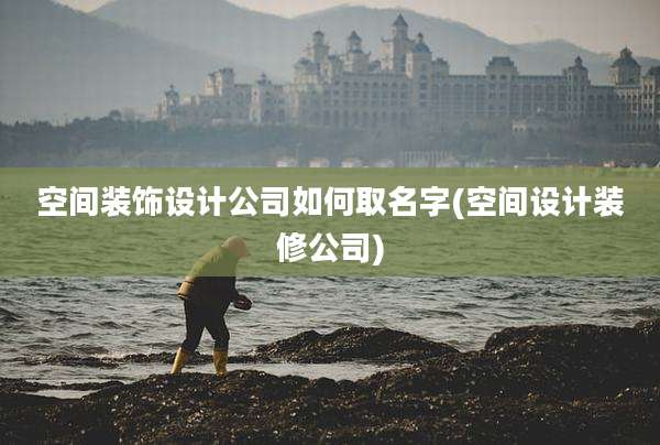 空间装饰设计公司如何取名字(空间设计装修公司)