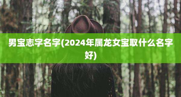 男宝志字名字(2024年属龙女宝取什么名字好)