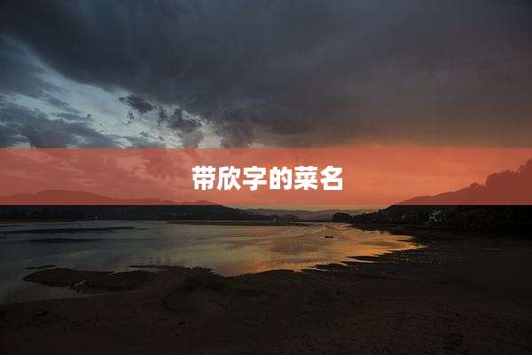 带欣字的菜名