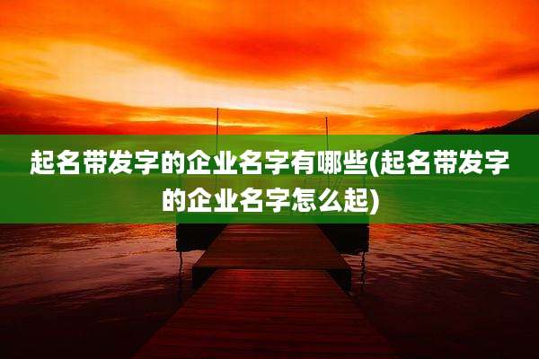 起名带发字的企业名字有哪些(起名带发字的企业名字怎么起)