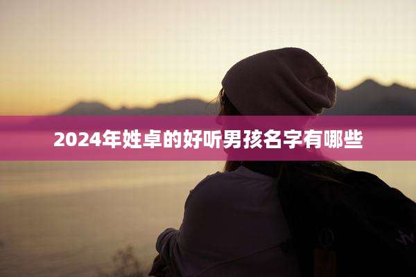 2024年姓卓的好听男孩名字有哪些