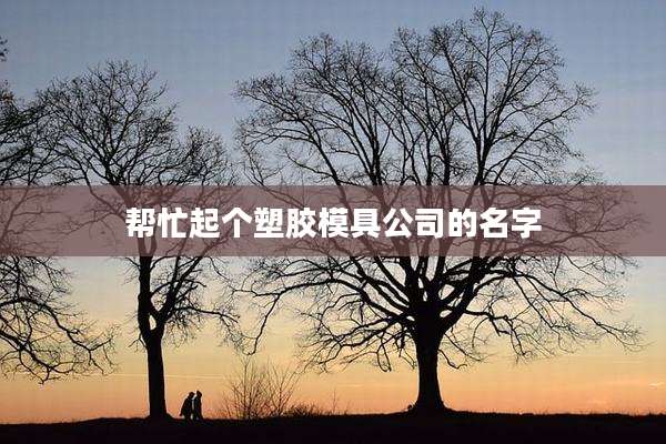 帮忙起个塑胶模具公司的名字