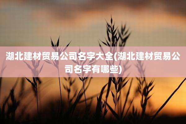 湖北建材贸易公司名字大全(湖北建材贸易公司名字有哪些)