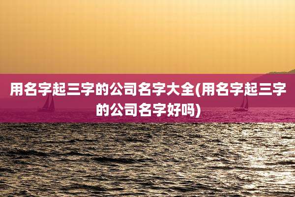用名字起三字的公司名字大全(用名字起三字的公司名字好吗)