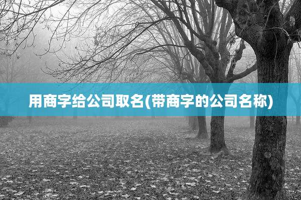 用商字给公司取名(带商字的公司名称)
