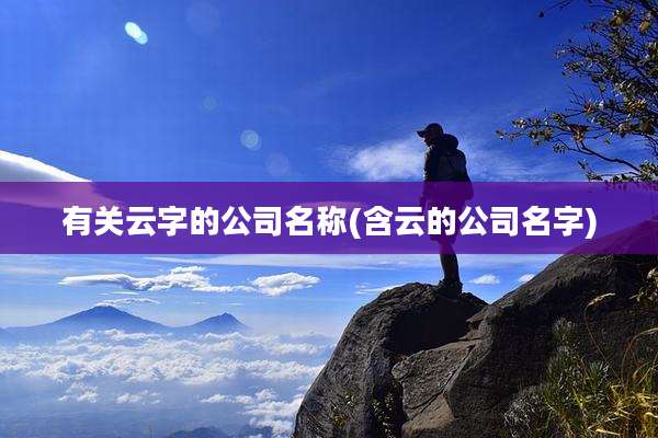 有关云字的公司名称(含云的公司名字)