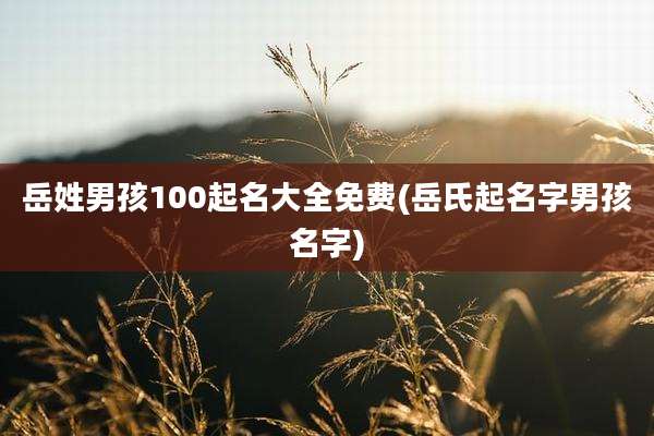 岳姓男孩100起名大全免费(岳氏起名字男孩名字)
