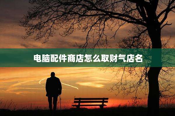 电脑配件商店怎么取财气店名