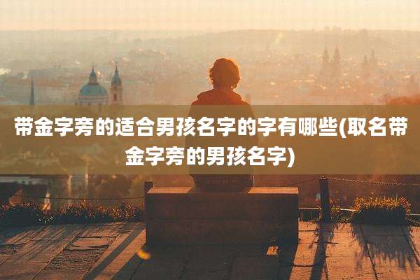 带金字旁的适合男孩名字的字有哪些(取名带金字旁的男孩名字)