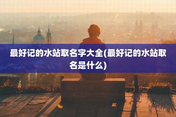 最好记的水站取名字大全(最好记的水站取名是什么)