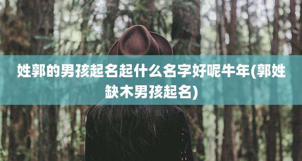 姓郭的男孩起名起什么名字好呢牛年(郭姓缺木男孩起名)