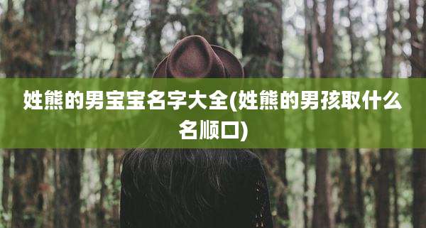 姓熊的男宝宝名字大全(姓熊的男孩取什么名顺口)