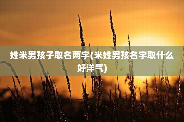 姓米男孩子取名两字(米姓男孩名字取什么好洋气)