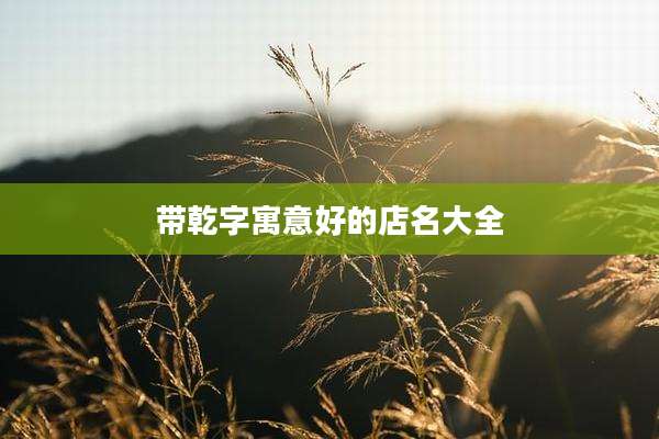 带乾字寓意好的店名大全