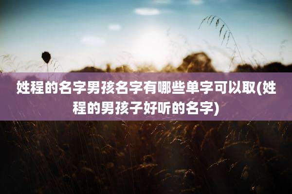 姓程的名字男孩名字有哪些单字可以取(姓程的男孩子好听的名字)