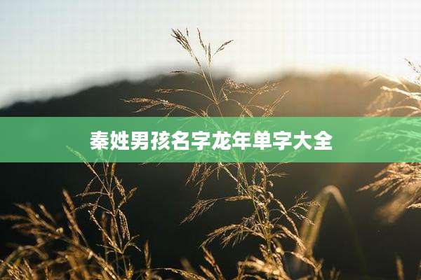 秦姓男孩名字龙年单字大全